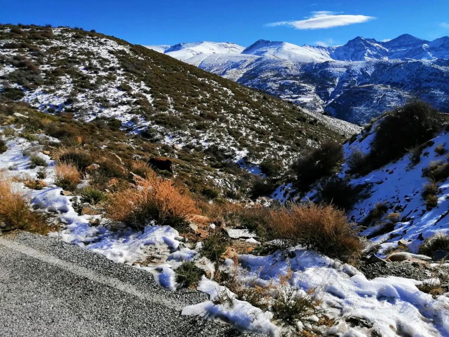 Apartamentos Sierra Nevada Park غويخار سييرا المظهر الخارجي الصورة